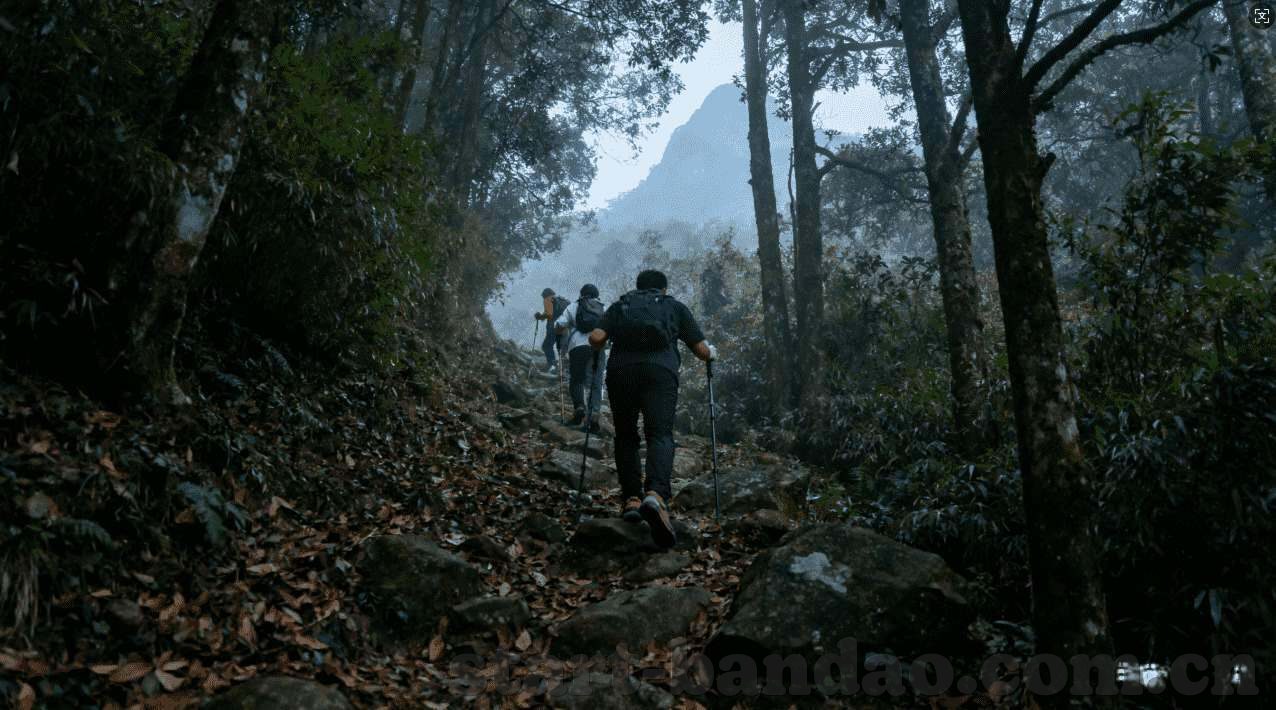 世界杯竞猜投注调整-世界杯竞猜投注调整，策略与风险管理